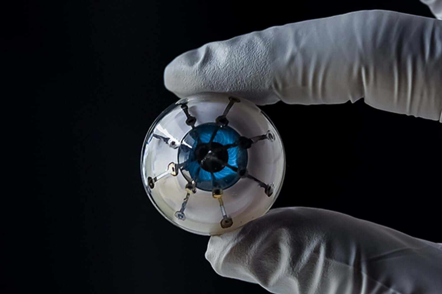BioCornea Tech Global