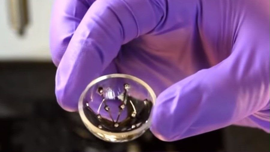 BioCornea Tech Global