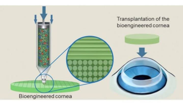 Advanced Ocular Bioprinting Solutions